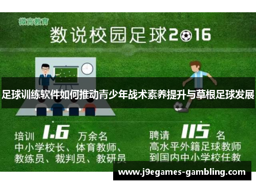 足球训练软件如何推动青少年战术素养提升与草根足球发展